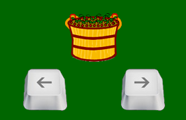 Use left and right arrow keys to move the bucket.